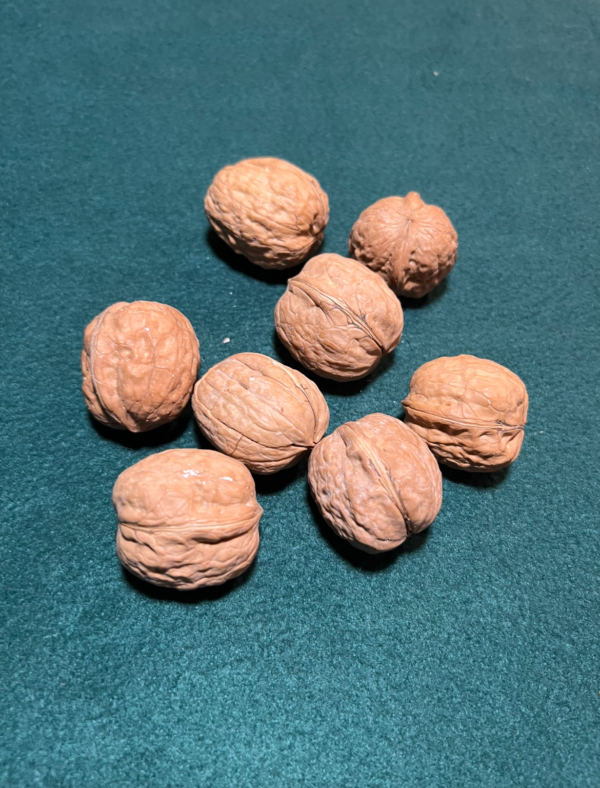 Walnuts/Peanuts for Small Pets